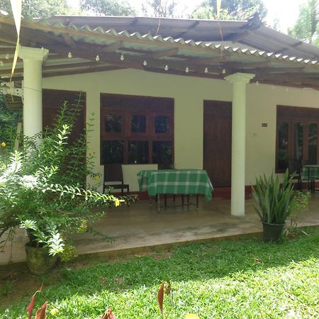 Green Valley Home Stay Талпе Экстерьер фото